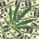 ganja dan tumpukan uang tunai