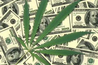 ganja dan tumpukan uang tunai