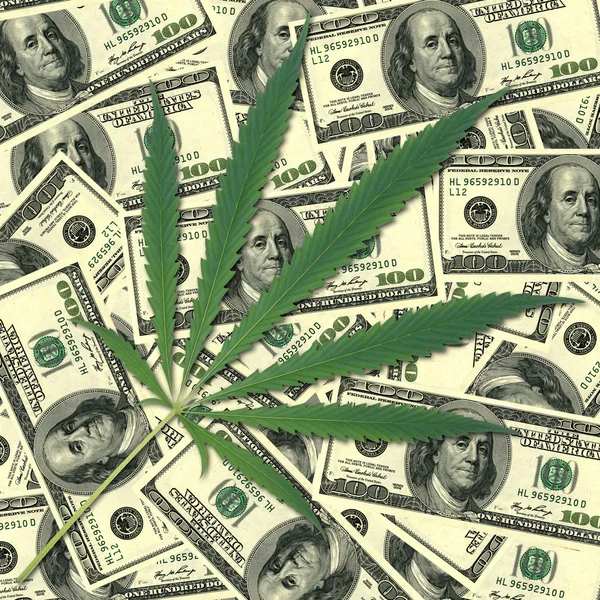 ganja dan tumpukan uang tunai